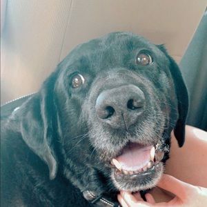 Meet your Posher, Emma